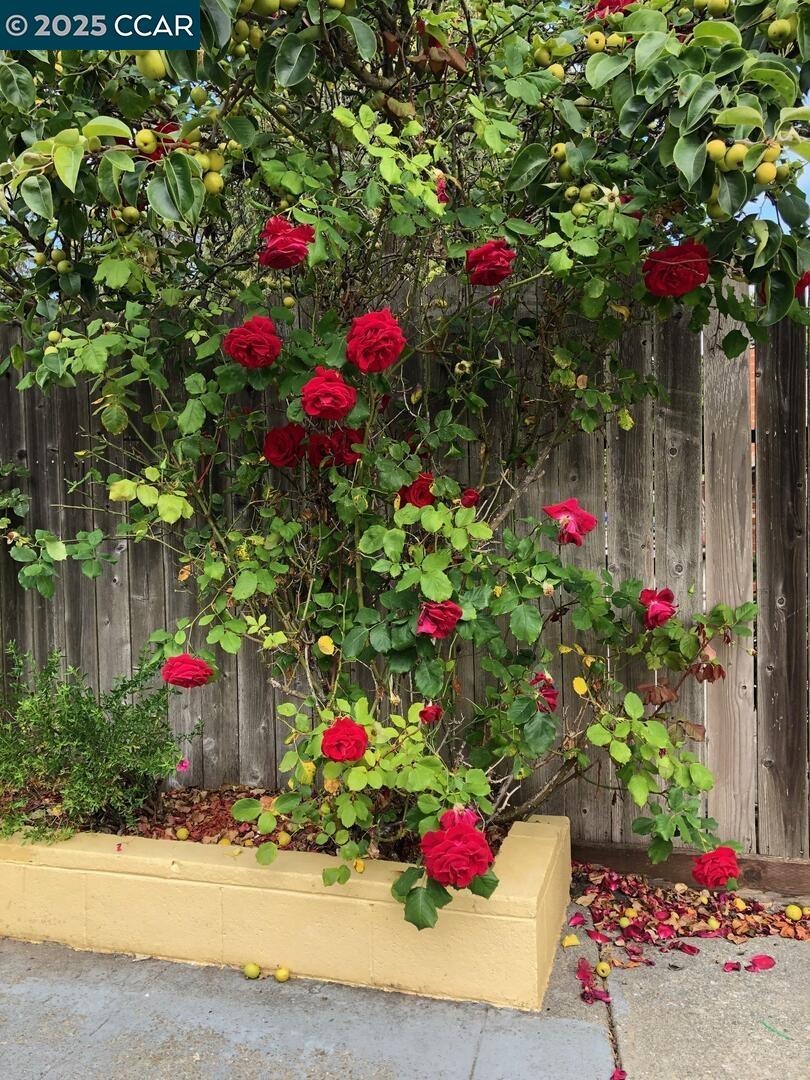 Detail Gallery Image 35 of 49 For 3088 Flannery Road, San Pablo,  CA 94806-1508 - 3 Beds | 2 Baths