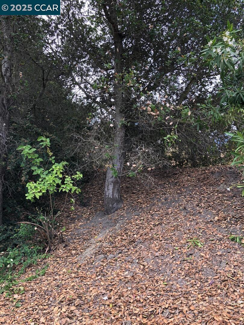 Detail Gallery Image 38 of 49 For 3088 Flannery Road, San Pablo,  CA 94806-1508 - 3 Beds | 2 Baths