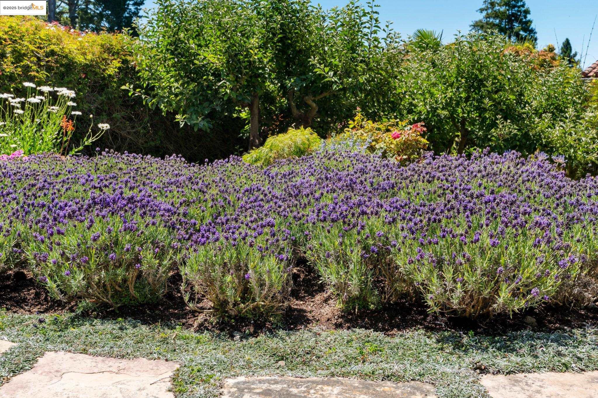 Detail Gallery Image 48 of 57 For 1016 Grizzly Peak Blvd, Berkeley,  CA 94708 - 4 Beds | 2/1 Baths