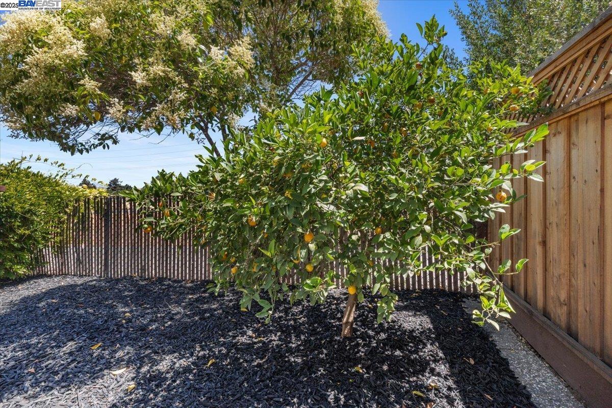 Detail Gallery Image 47 of 51 For 8351 Mulberry Pl, Dublin,  CA 94568 - 4 Beds | 2/1 Baths