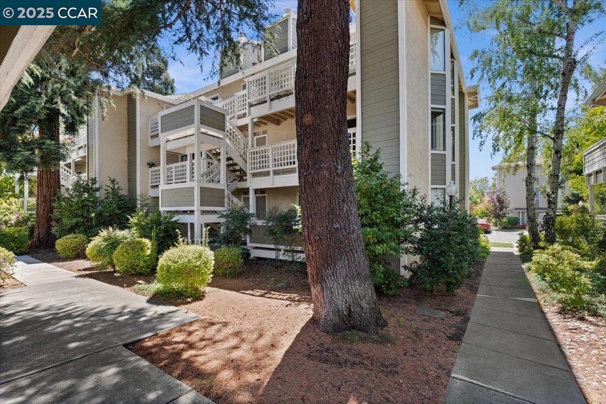 Photo #37: 41104373 Listing: Photo #37