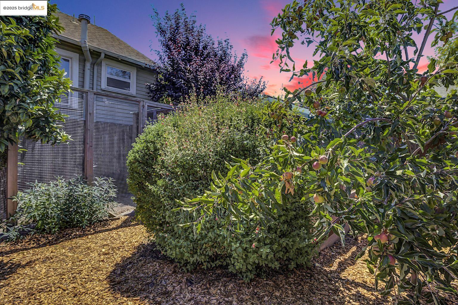 Detail Gallery Image 35 of 56 For 3107 Filbert St, Oakland,  CA 94608 - 4 Beds | 2 Baths
