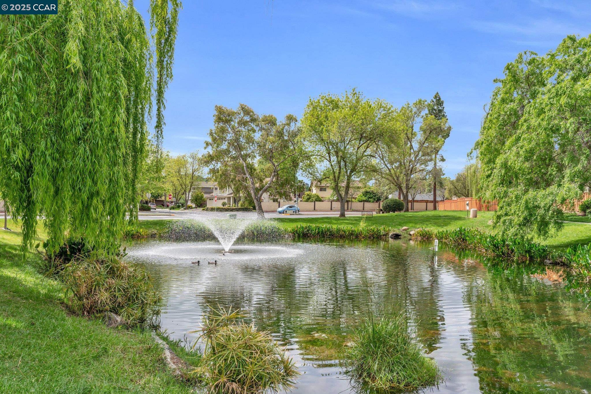 Detail Gallery Image 26 of 30 For 1230 Golden Springs Ln, Concord,  CA 94521 - 4 Beds | 2/1 Baths