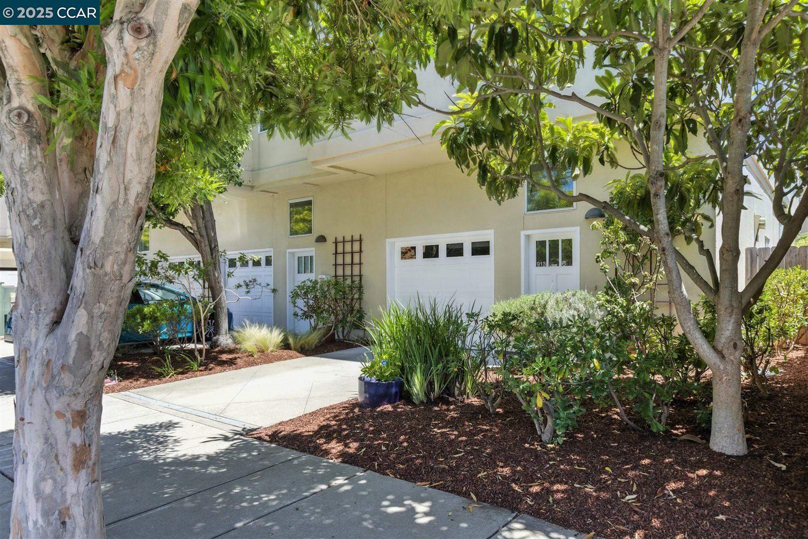 Detail Gallery Image 1 of 1 For 913 Adams St #C,  Albany,  CA 94706 - 3 Beds | 3/1 Baths