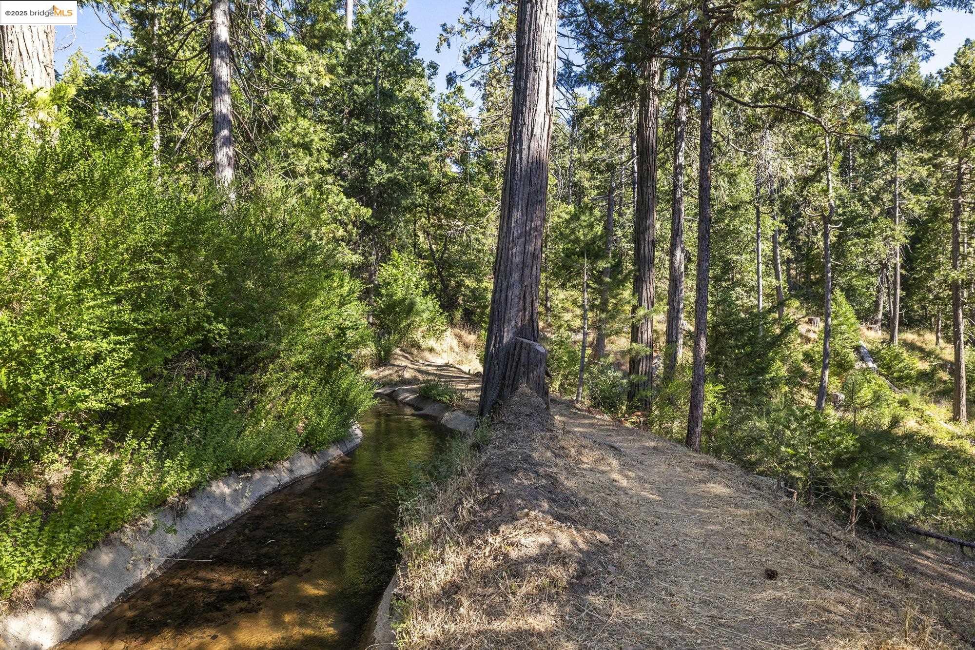 Detail Gallery Image 2 of 40 For 22693 Tamarack Dr, Twain Harte,  CA 95383 - 3 Beds | 2/1 Baths