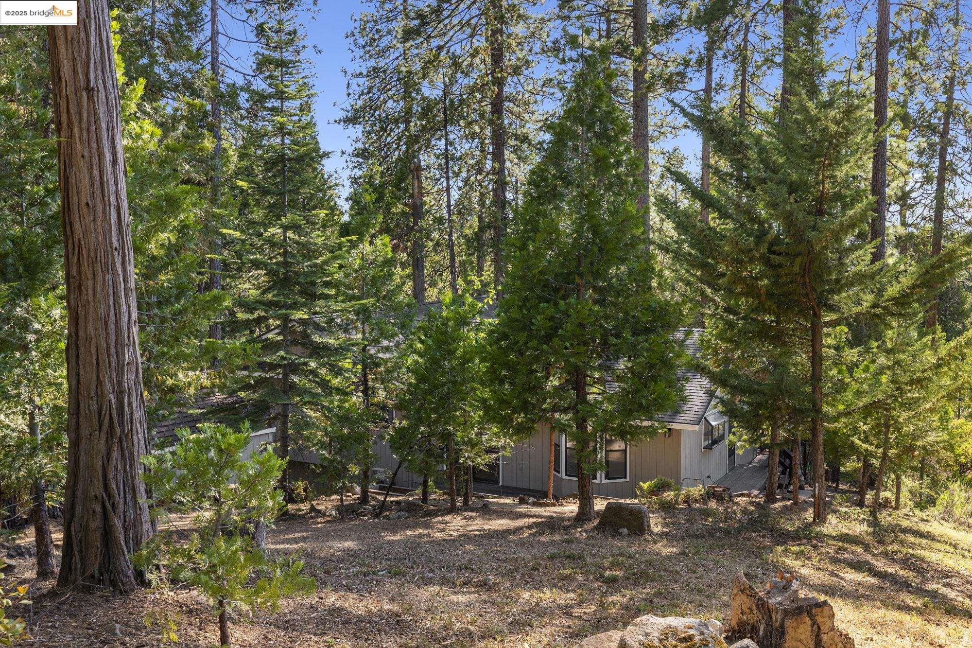 Detail Gallery Image 26 of 38 For 22693 Tamarack Dr, Twain Harte,  CA 95383 - 3 Beds | 2/1 Baths