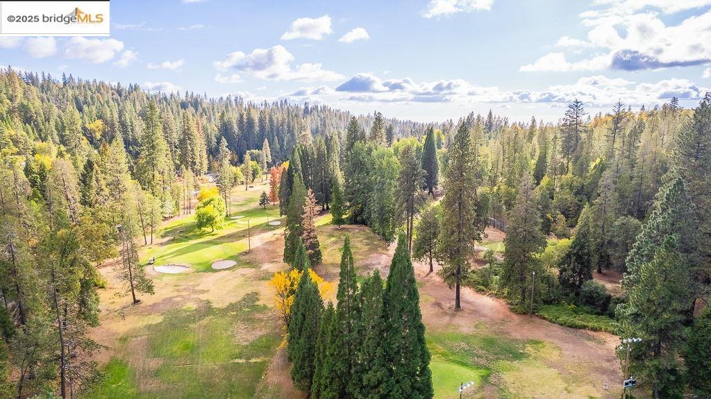 Detail Gallery Image 37 of 38 For 22693 Tamarack Dr, Twain Harte,  CA 95383 - 3 Beds | 2/1 Baths