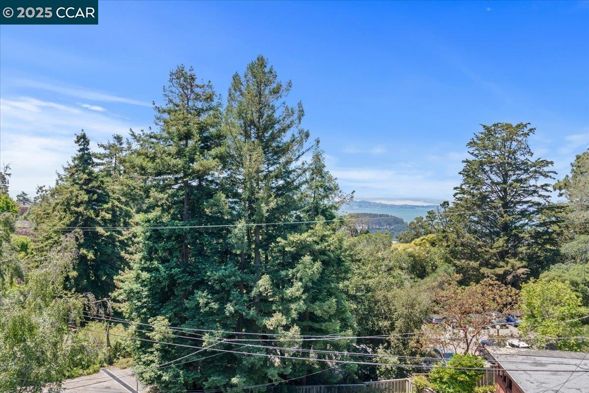 Detail Gallery Image 44 of 46 For 51 Rincon Rd, Kensington,  CA 94707 - – Beds | – Baths