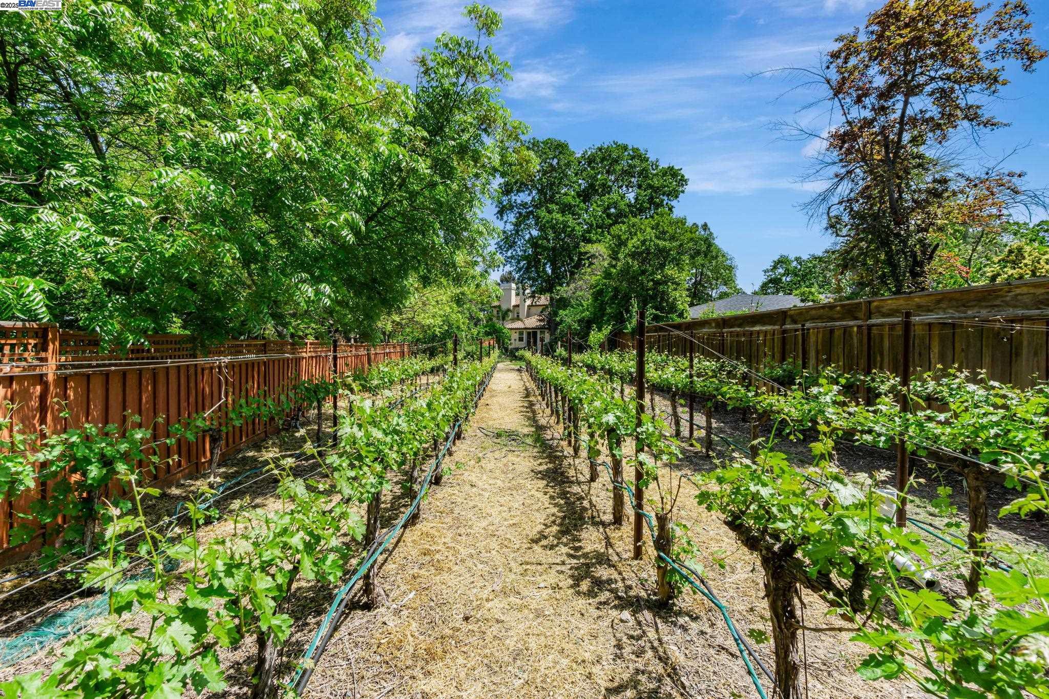 Detail Gallery Image 50 of 50 For 135 Cara Ct, Walnut Creek,  CA 94596 - 5 Beds | 3/1 Baths
