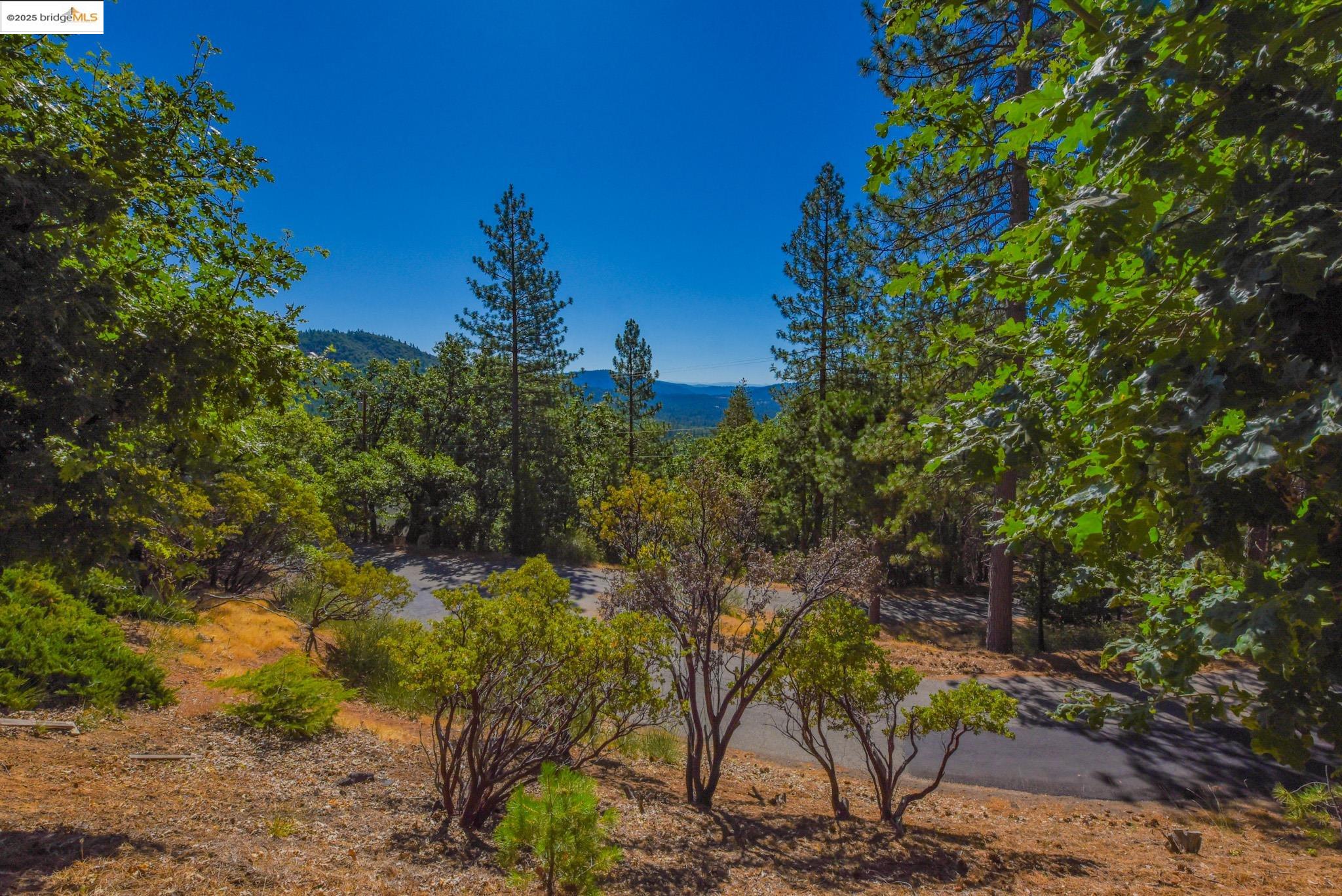 Detail Gallery Image 5 of 56 For 23890 Pack Trail Road, Sonora,  CA 95370 - 2 Beds | 2 Baths