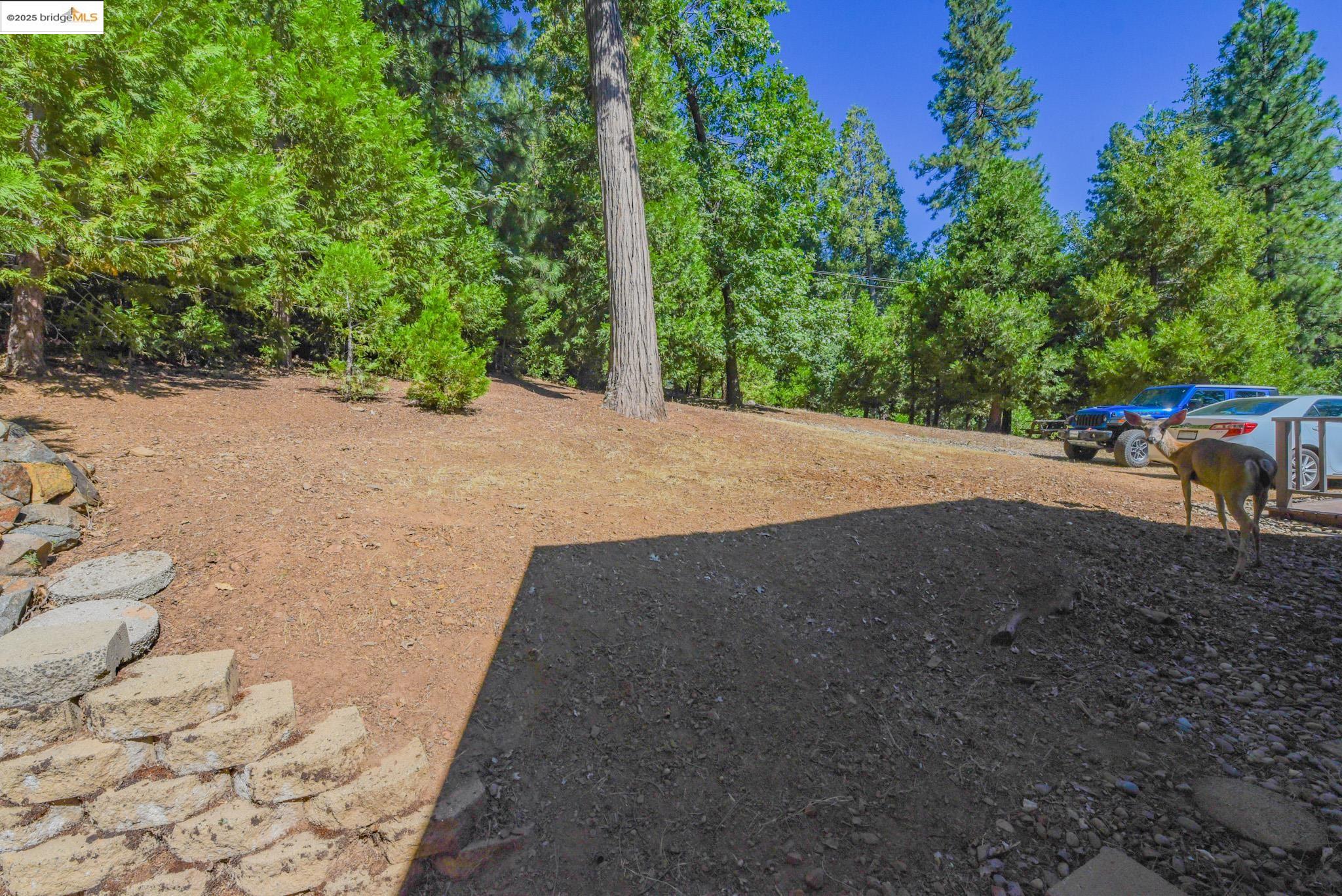 Detail Gallery Image 42 of 56 For 23890 Pack Trail Road, Sonora,  CA 95370 - 2 Beds | 2 Baths