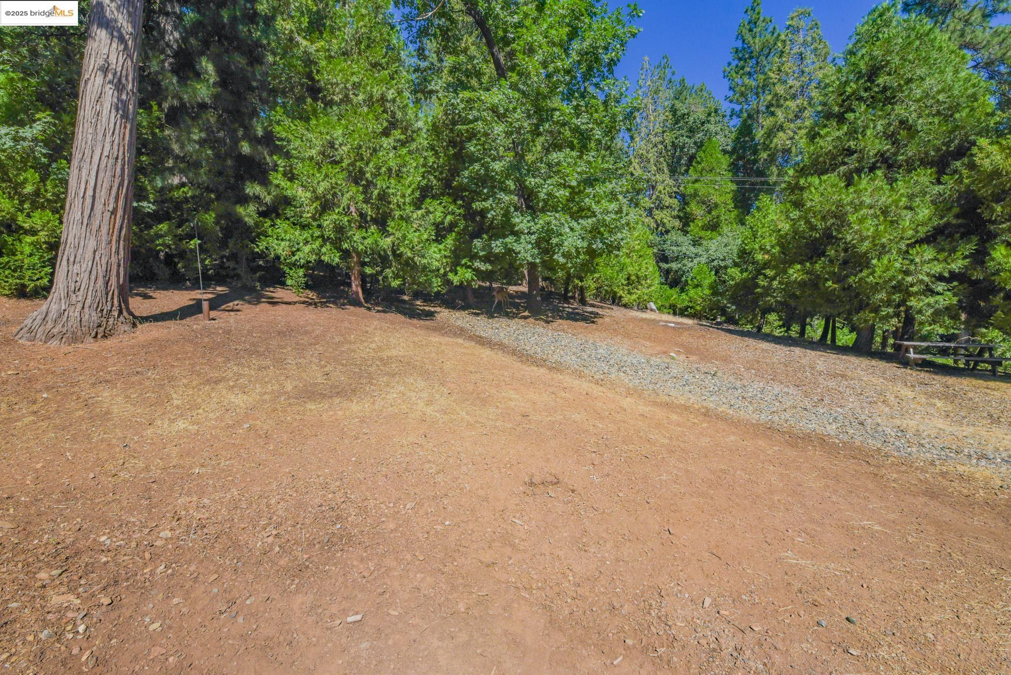 Detail Gallery Image 45 of 56 For 23890 Pack Trail Road, Sonora,  CA 95370 - 2 Beds | 2 Baths