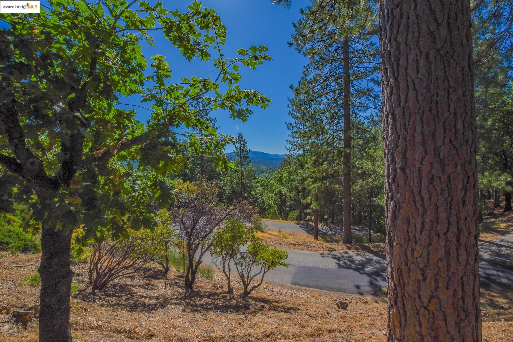 Detail Gallery Image 6 of 56 For 23890 Pack Trail Road, Sonora,  CA 95370 - 2 Beds | 2 Baths