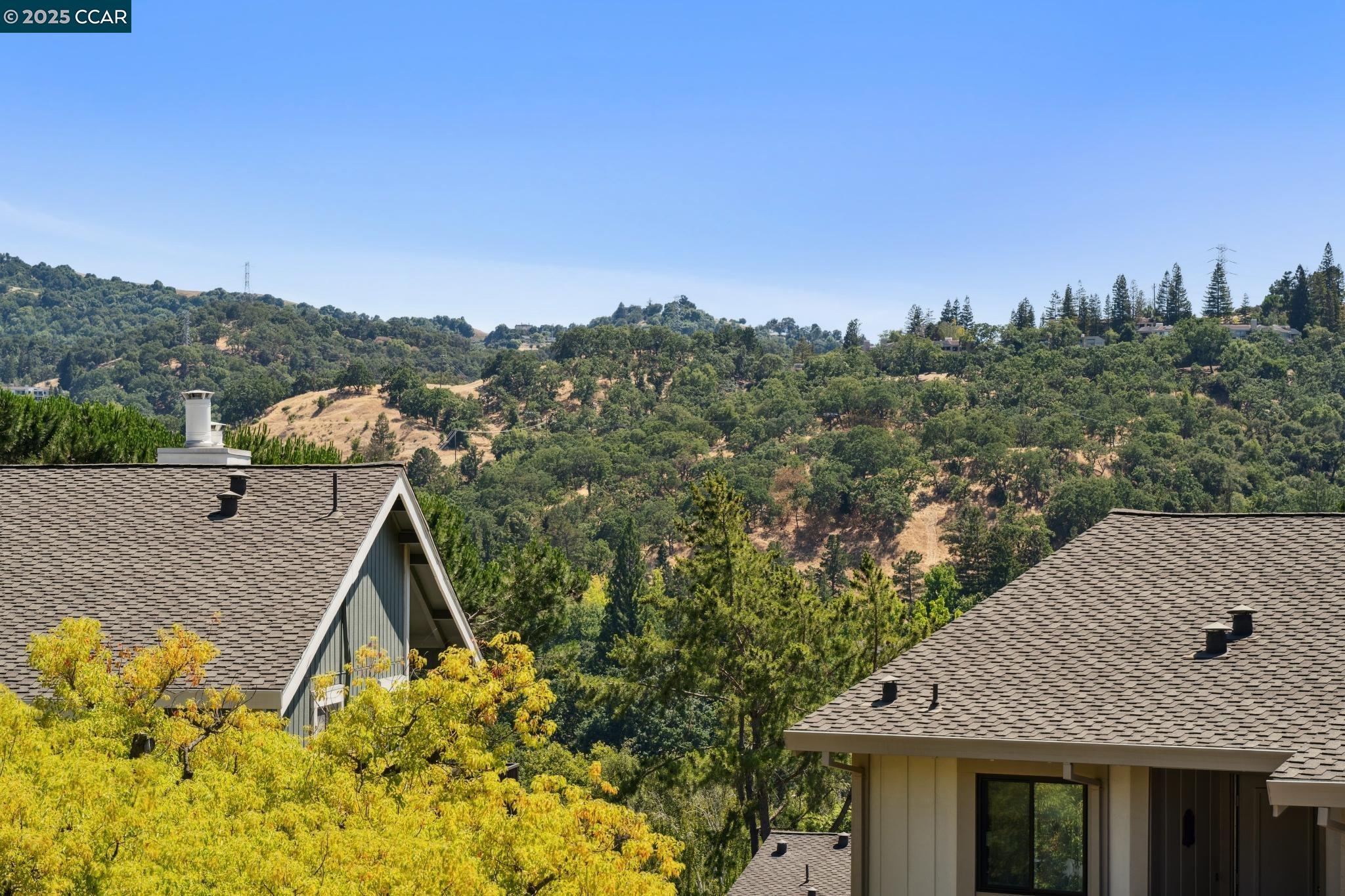 Photo #37: 41104538 Listing: Photo #37