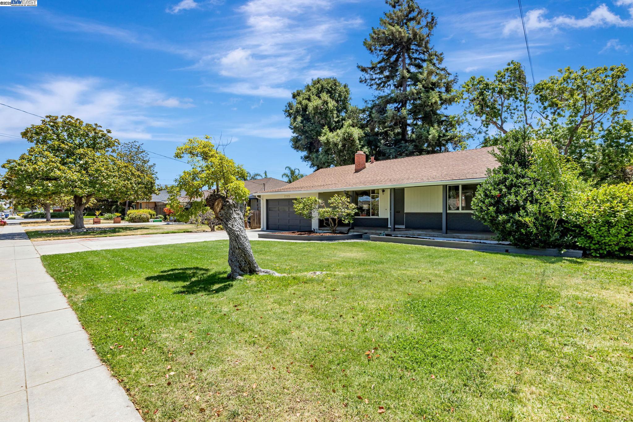 37923 Glenmoor Dr, Fremont, California 94536, 3 Bedrooms Bedrooms, 7 Rooms Rooms,1 BathroomBathrooms,Residential,For Sale,37923 Glenmoor Dr,41104550