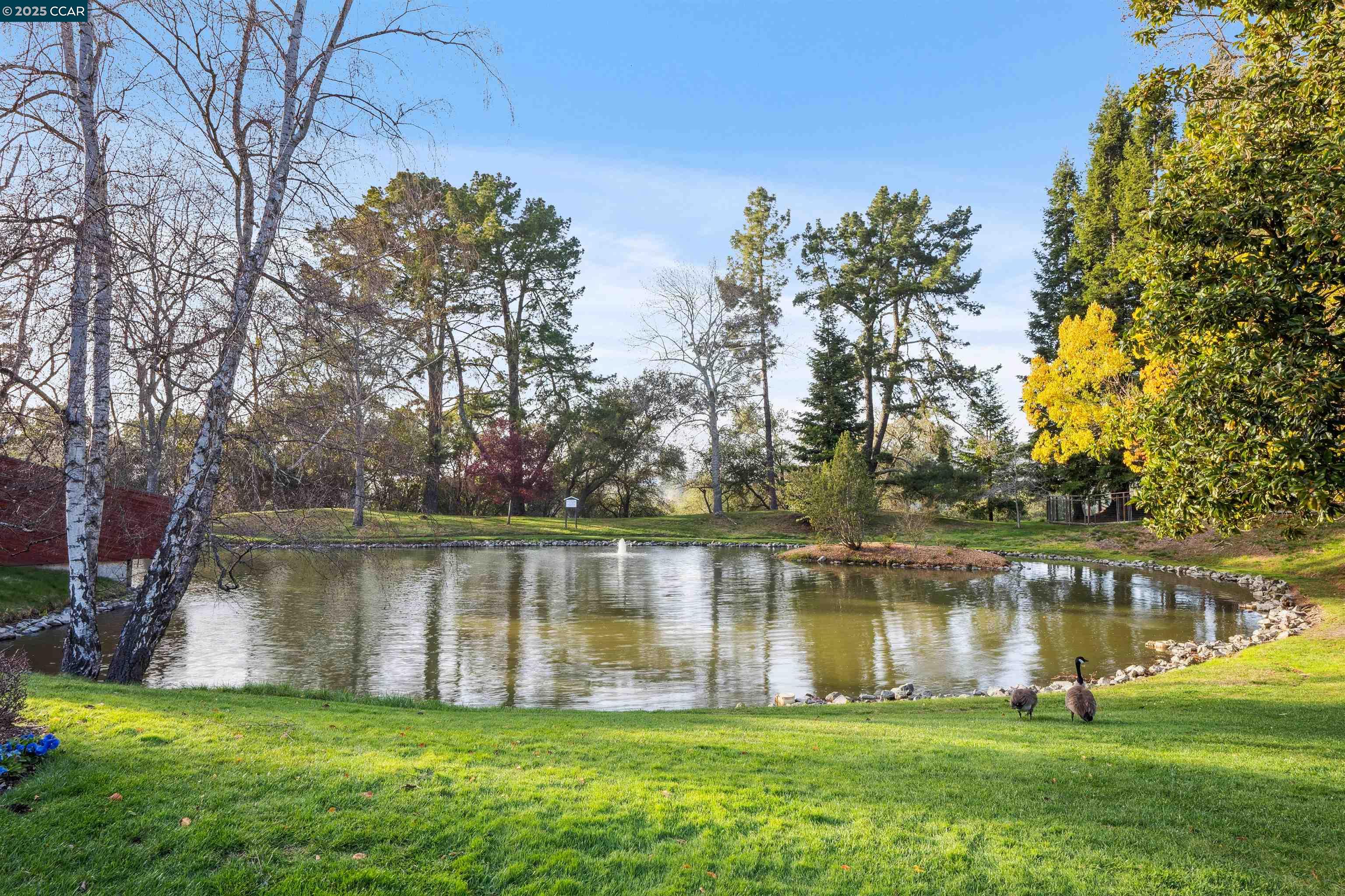 Detail Gallery Image 38 of 38 For 304 Village View Court, Orinda,  CA 94563 - 4 Beds | 2/1 Baths