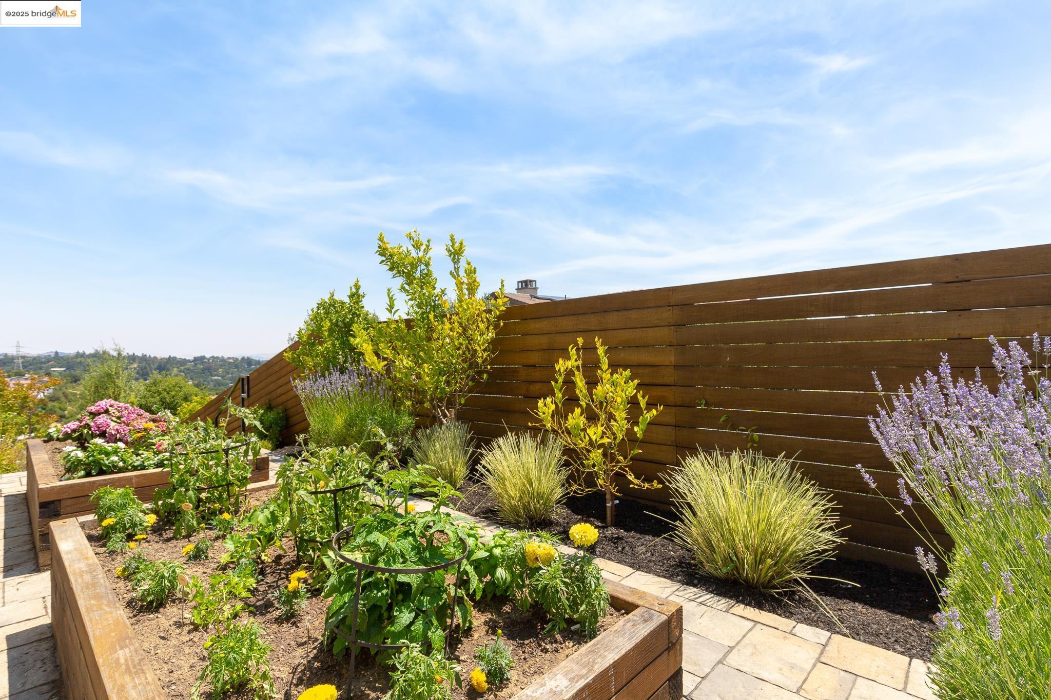 Detail Gallery Image 53 of 60 For 63 Tomcat Way, Orinda,  CA 94563 - 4 Beds | 4 Baths