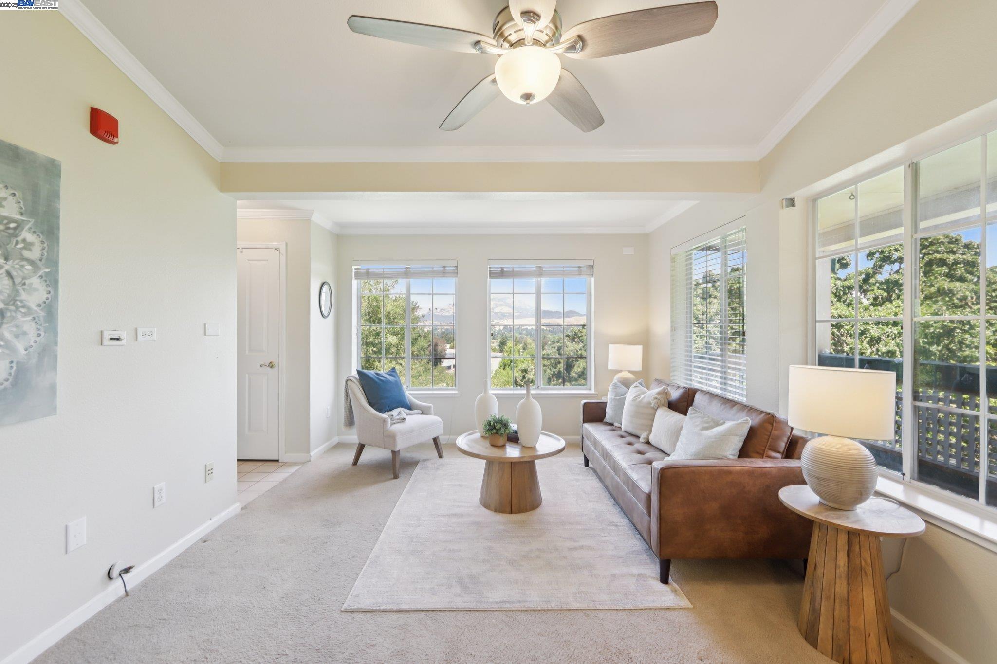 Photo #9: 41104572 Listing: Photo #9
