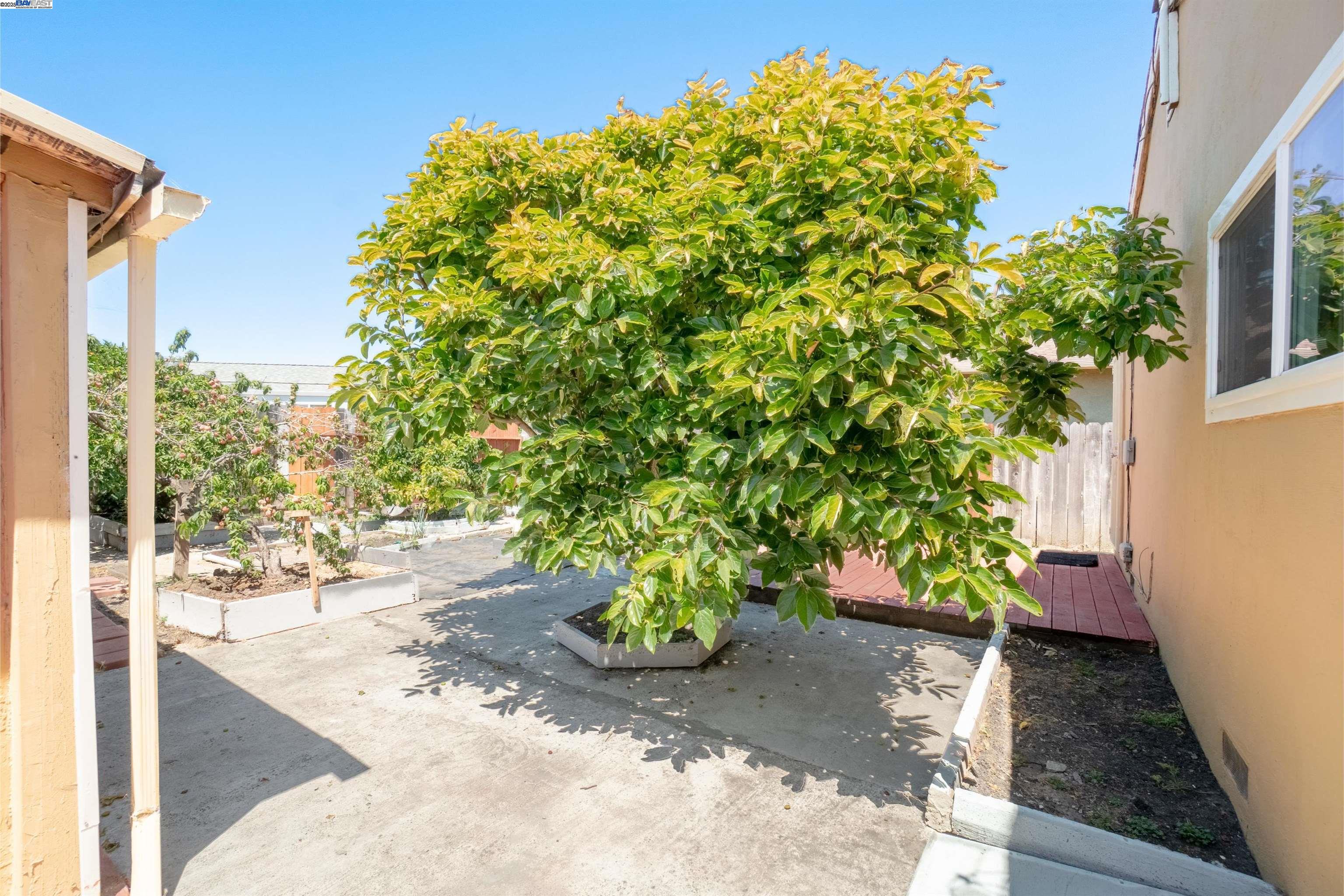 Detail Gallery Image 23 of 27 For 1119 Bockman Rd, San Lorenzo,  CA 94580 - 3 Beds | 2 Baths
