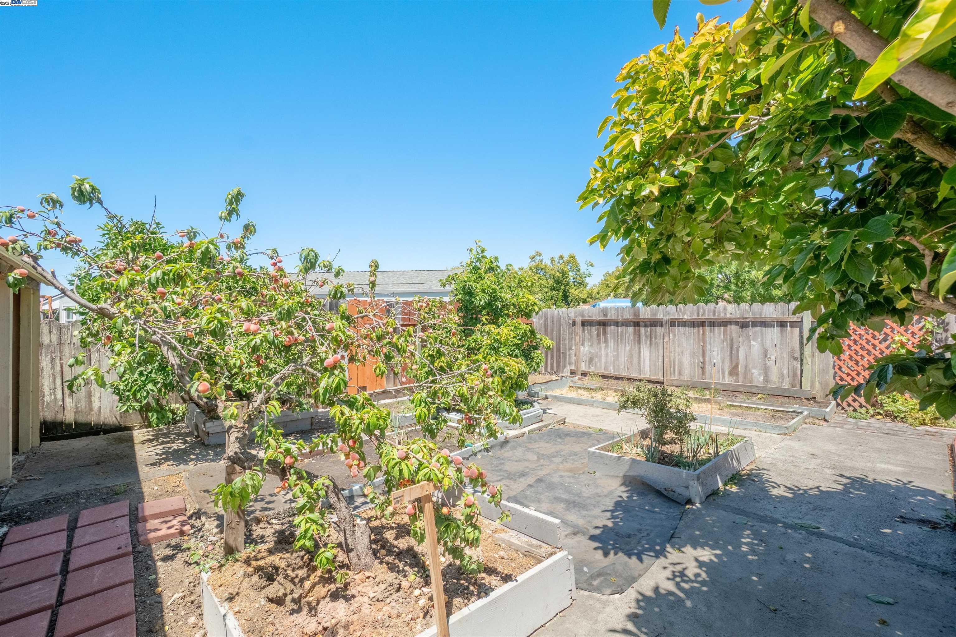 Detail Gallery Image 24 of 27 For 1119 Bockman Rd, San Lorenzo,  CA 94580 - 3 Beds | 2 Baths