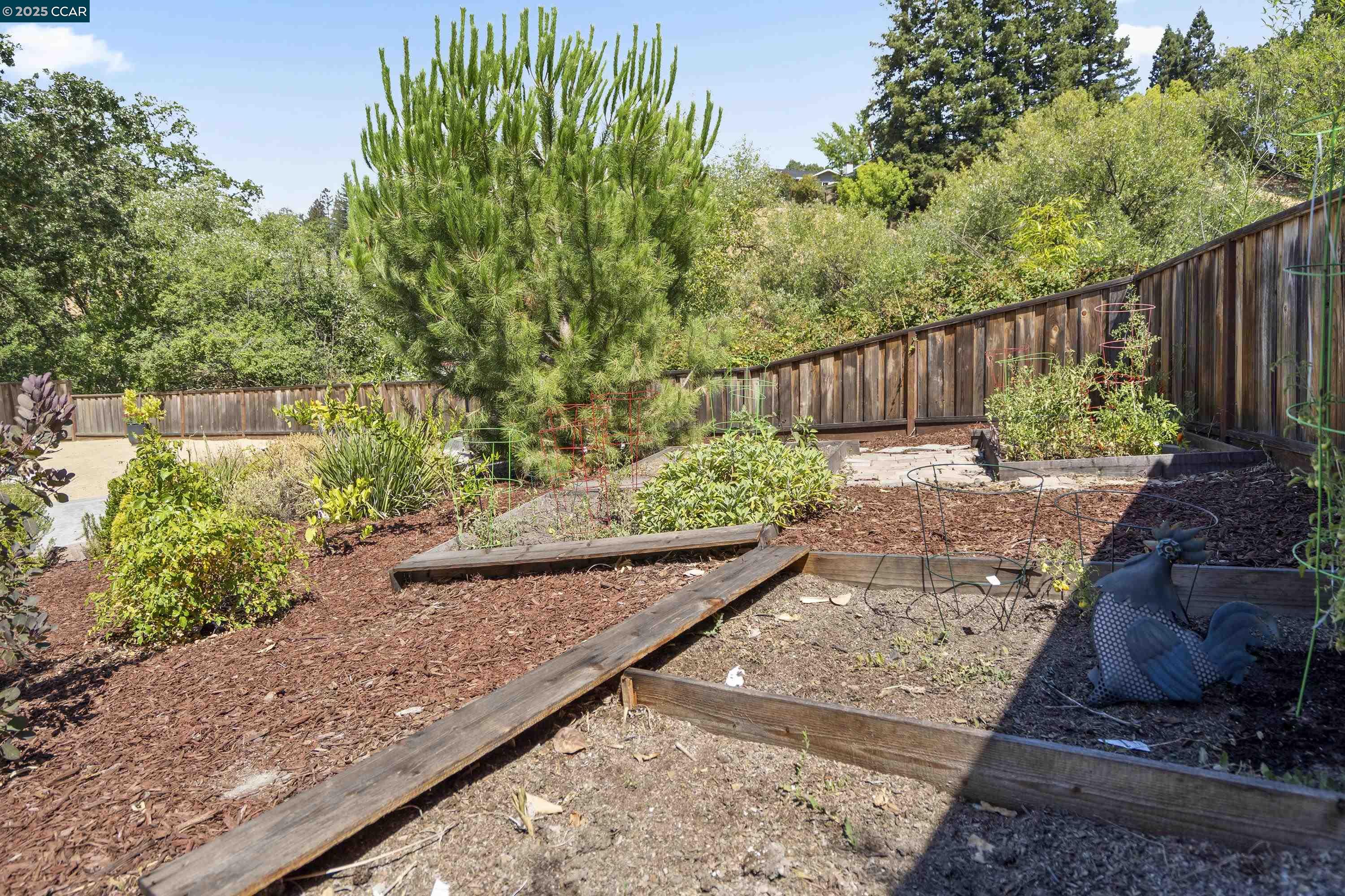 Detail Gallery Image 46 of 55 For 273 Valle Vista Dr, Danville,  CA 94526 - 4 Beds | 2/1 Baths