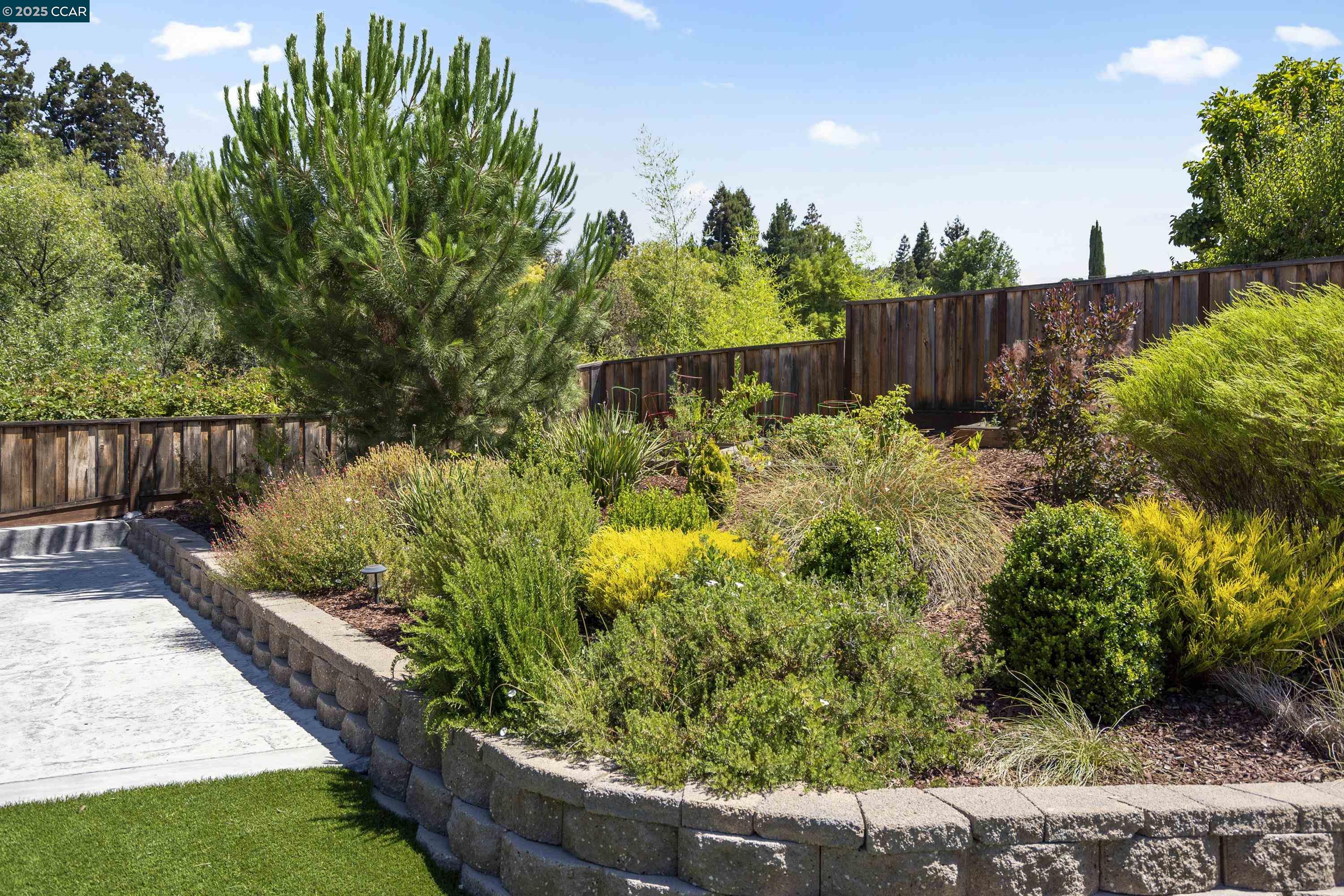 Detail Gallery Image 55 of 55 For 273 Valle Vista Dr, Danville,  CA 94526 - 4 Beds | 2/1 Baths