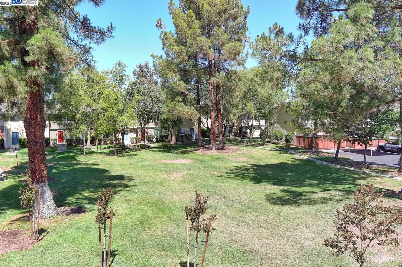 Photo #32: 41104625 Listing: Photo #32