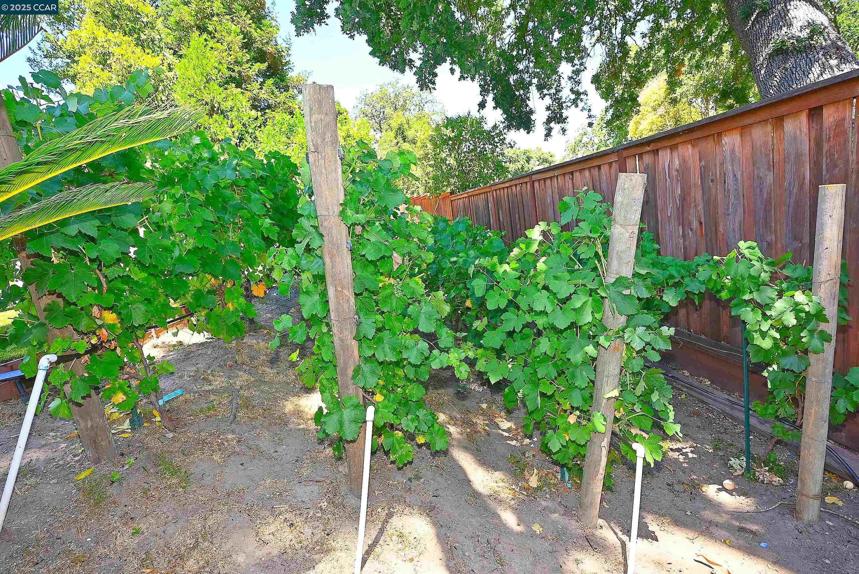 Detail Gallery Image 58 of 60 For 421 Twin Oaks Ln, Walnut Creek,  CA 94596 - 5 Beds | 3/1 Baths
