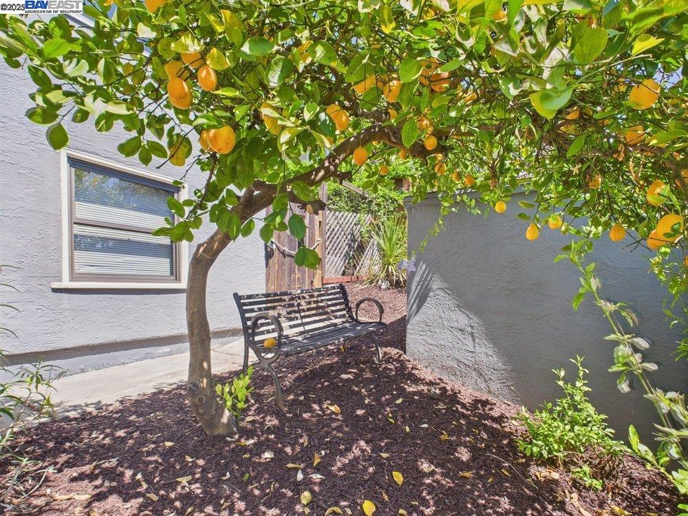 Detail Gallery Image 34 of 60 For 4418 Virginia Ave, Oakland,  CA 94619 - 4 Beds | 2 Baths