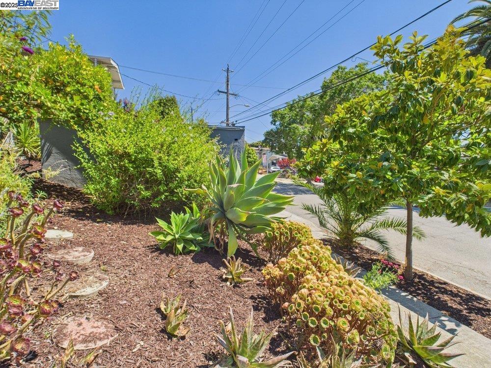 Detail Gallery Image 35 of 60 For 4418 Virginia Ave, Oakland,  CA 94619 - 4 Beds | 2 Baths
