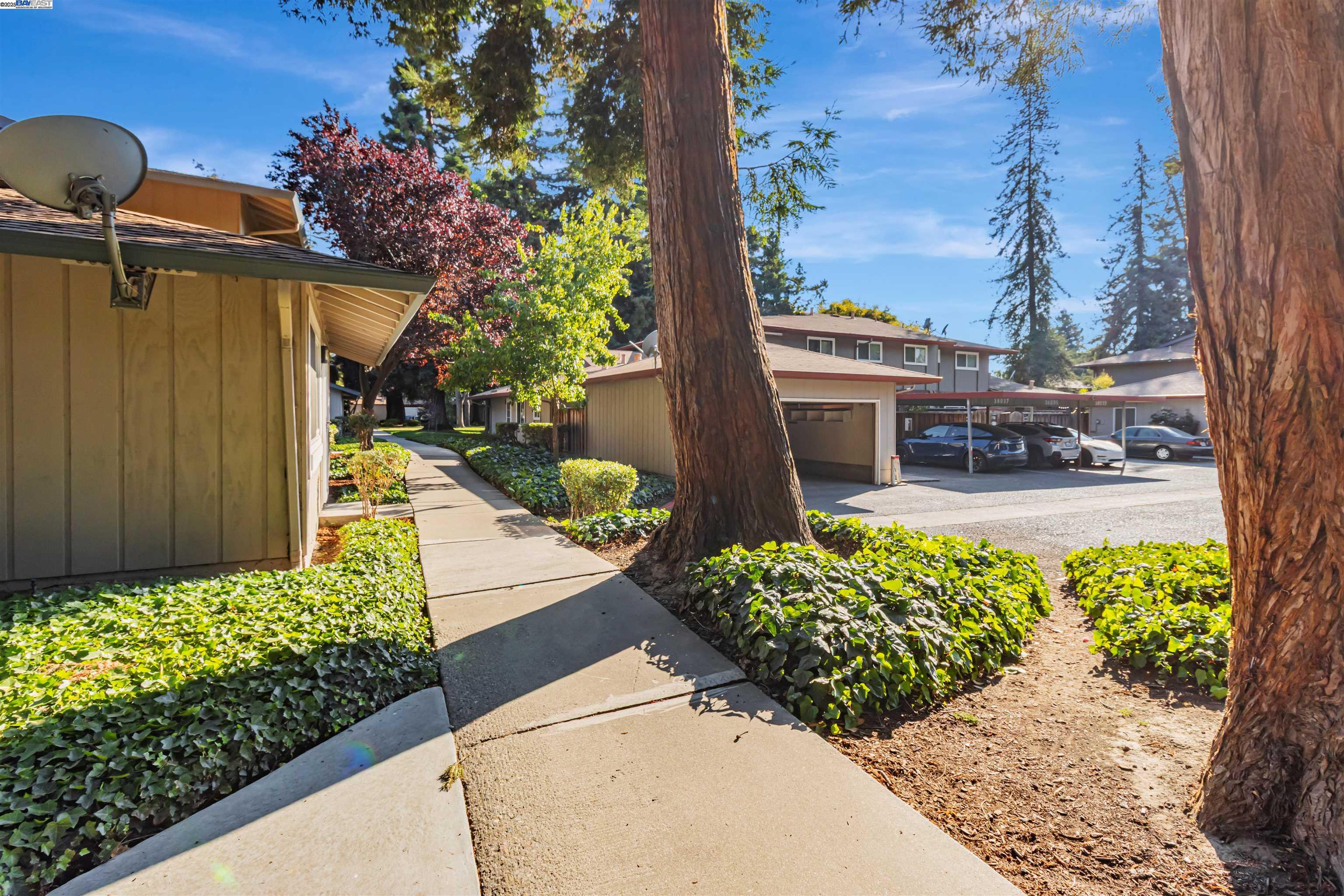 Photo #25: 41104634 Listing: Photo #25