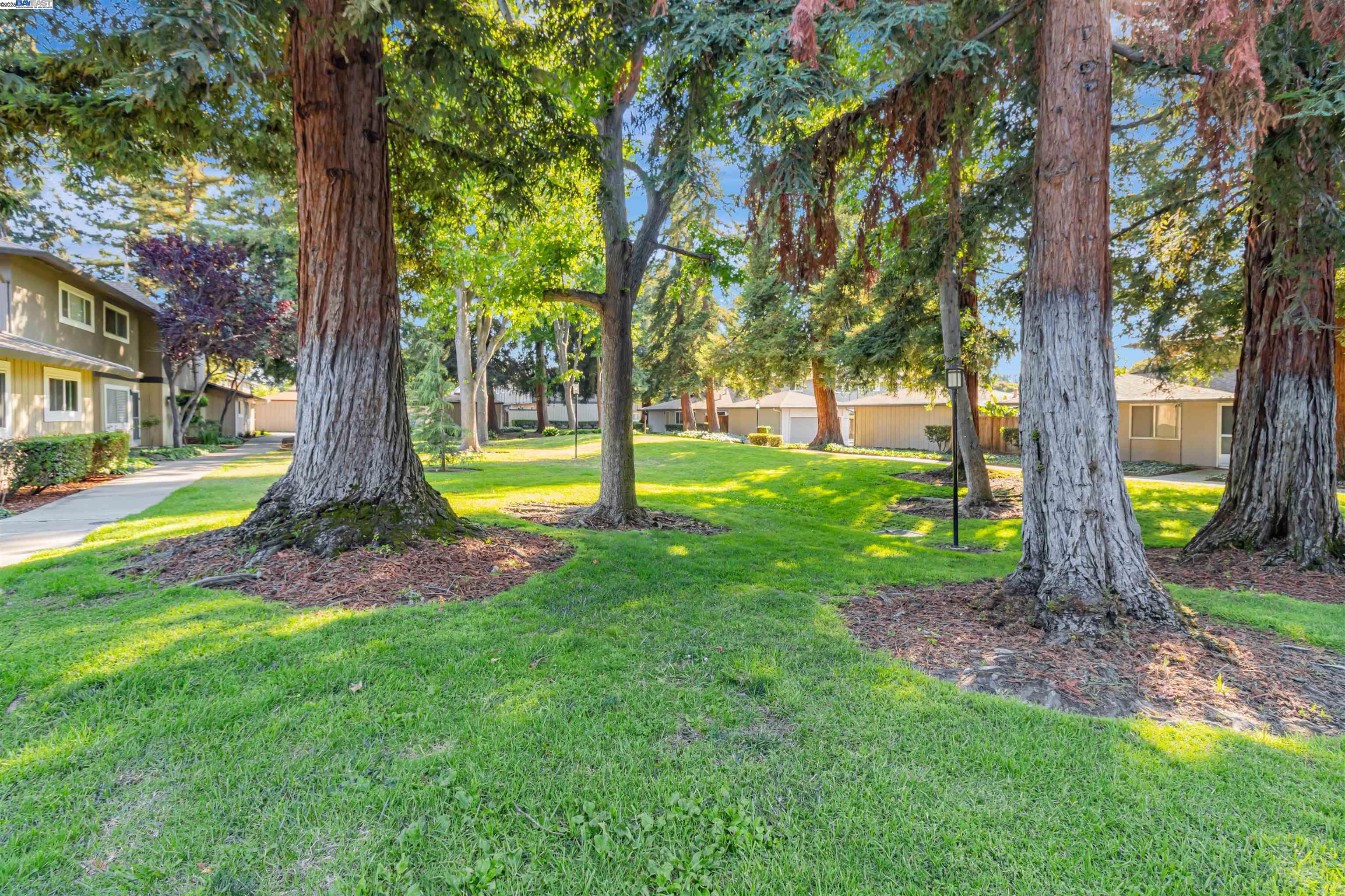 Photo #31: 41104634 Listing: Photo #31