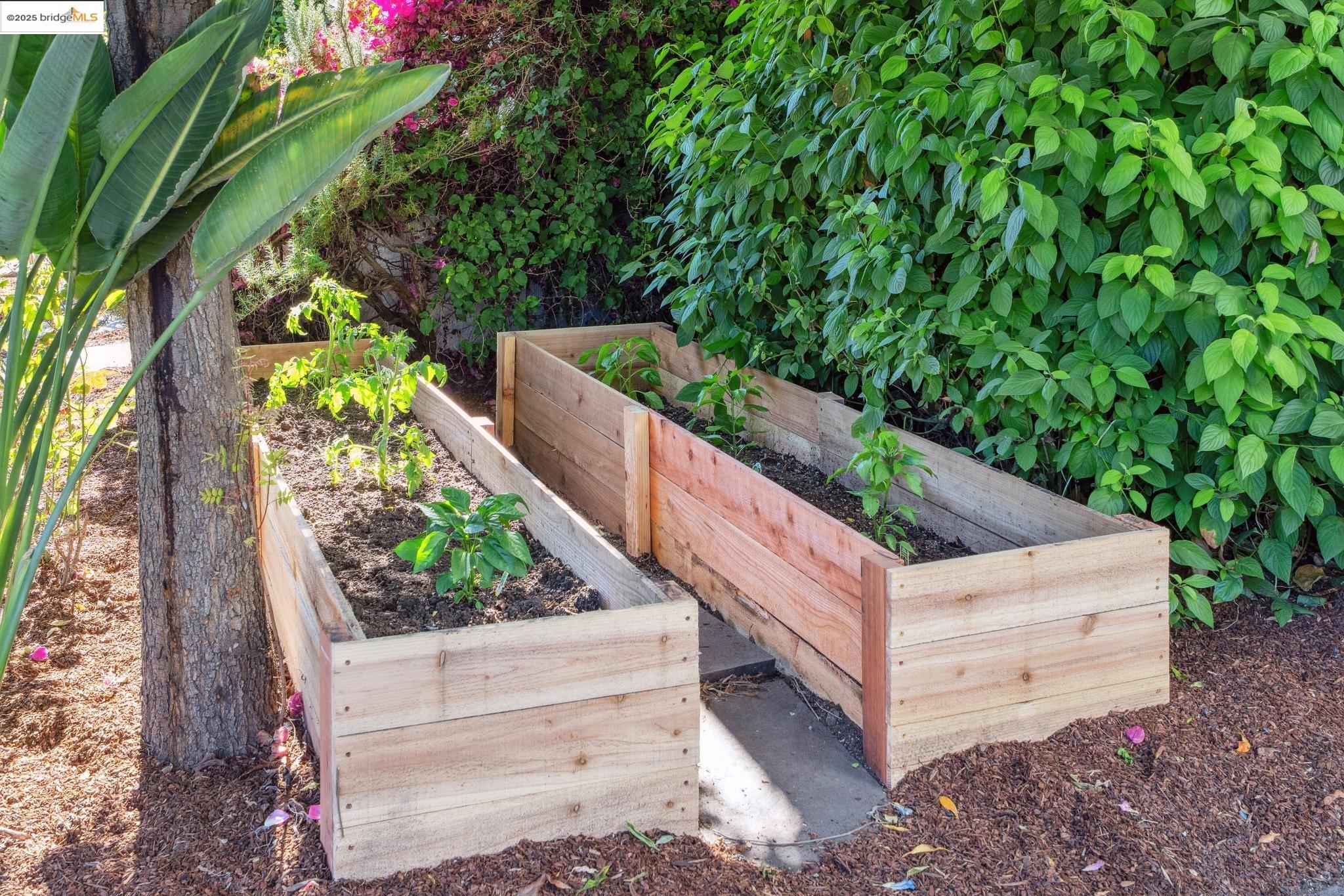 Detail Gallery Image 55 of 58 For 478-480 43rd St, Oakland,  CA 94609 - – Beds | – Baths