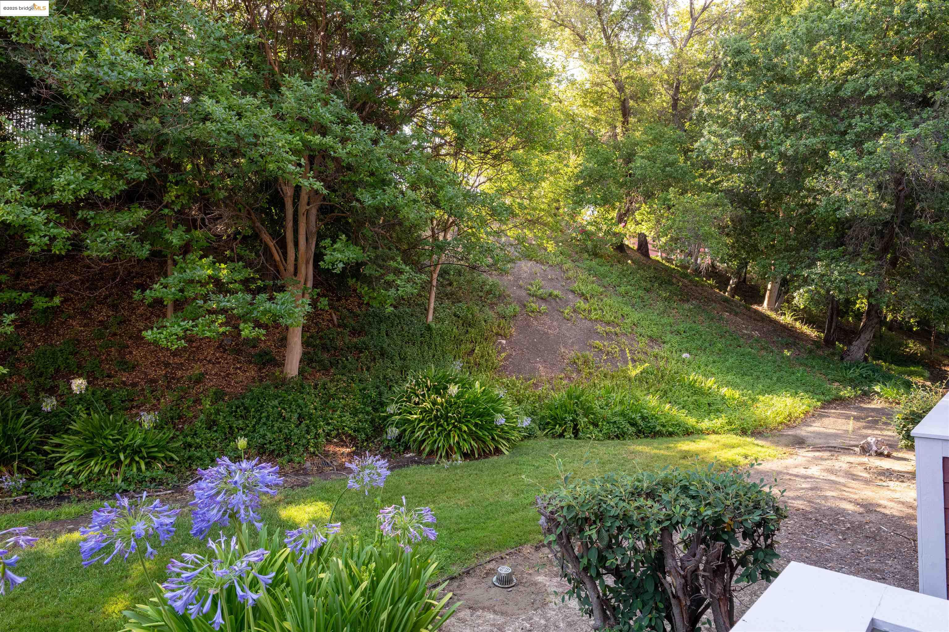Photo #3: 41104658 Listing: Photo #3