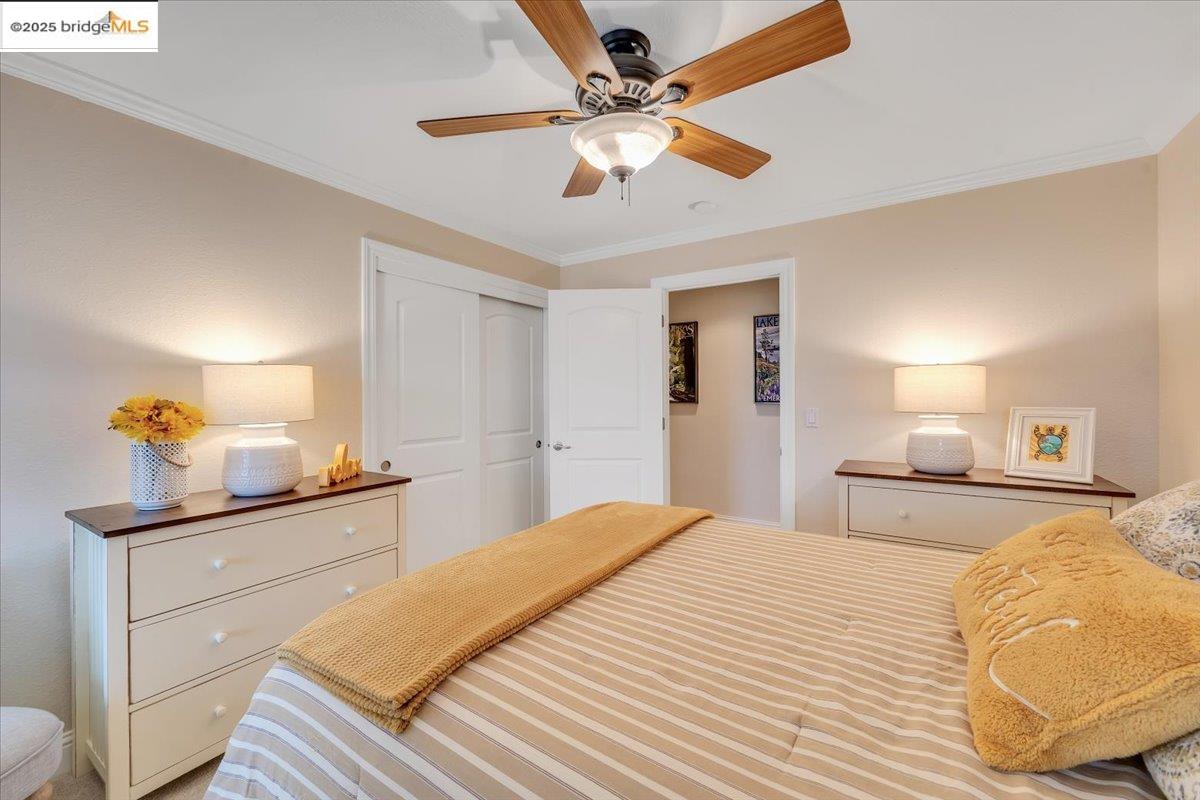Detail Gallery Image 49 of 60 For 194 Smith Flat Rd., Angels Camp,  CA 95222 - 4 Beds | 3/1 Baths
