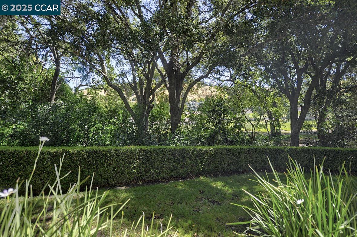 Photo #19: 41104680 Listing: Photo #19