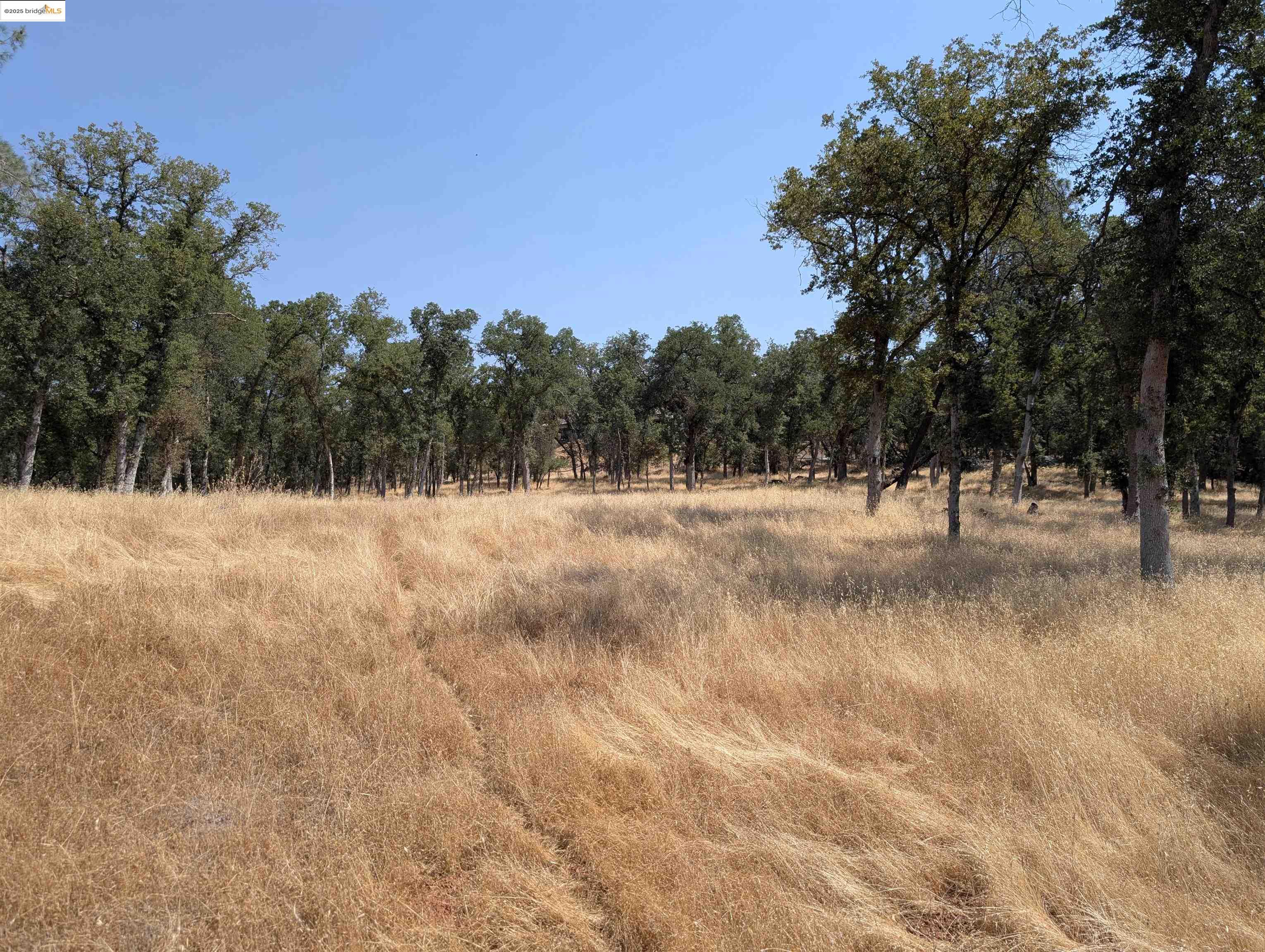 Detail Gallery Image 1 of 14 For 18340 Henry D Ct, Sonora,  CA 95370 - – Beds | – Baths