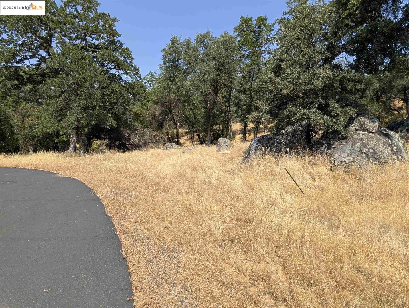 Detail Gallery Image 12 of 26 For 18340 Henry D Ct, Sonora,  CA 95370 - – Beds | – Baths