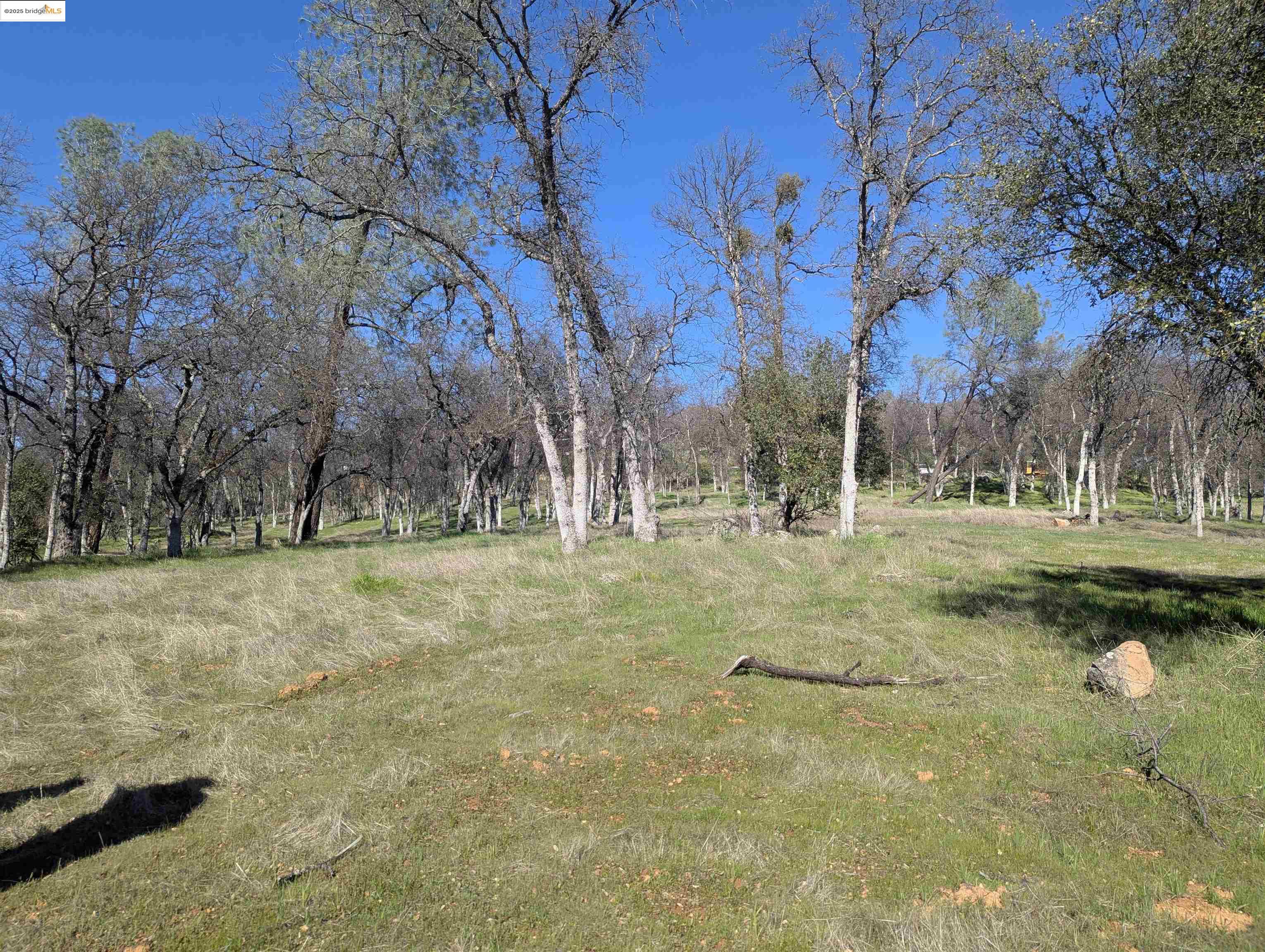 Detail Gallery Image 14 of 14 For 18340 Henry D Ct, Sonora,  CA 95370 - – Beds | – Baths