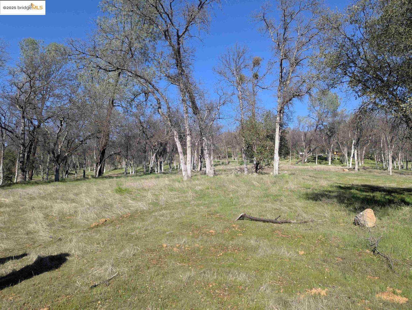 Detail Gallery Image 14 of 26 For 18340 Henry D Ct, Sonora,  CA 95370 - – Beds | – Baths