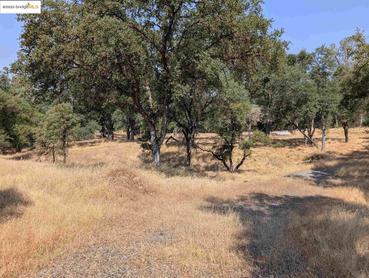 Detail Gallery Image 3 of 26 For 18340 Henry D Ct, Sonora,  CA 95370 - – Beds | – Baths