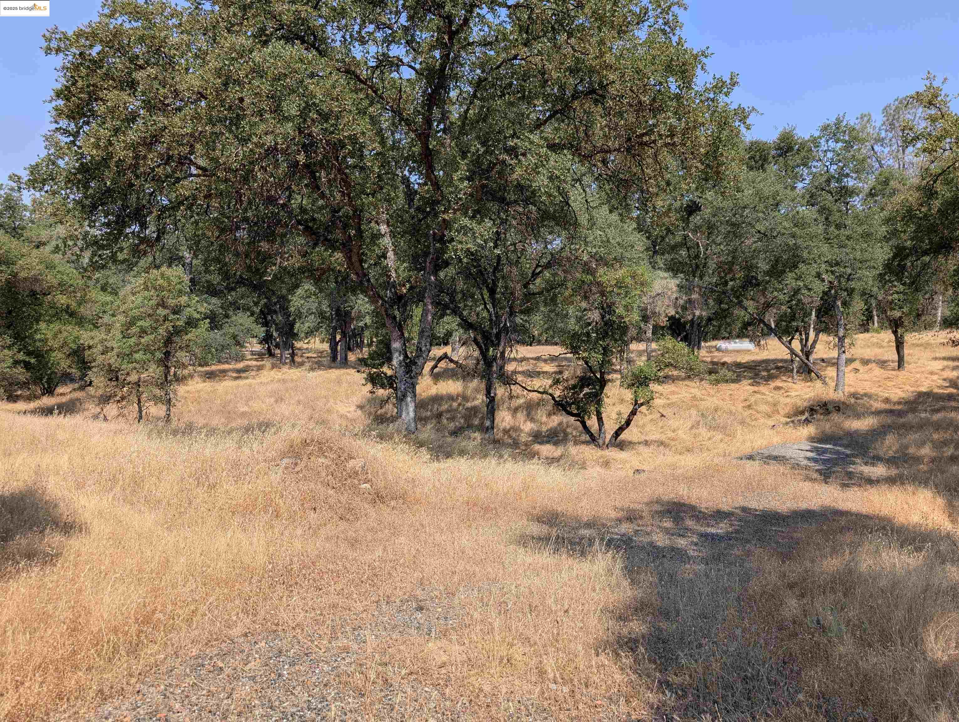Detail Gallery Image 3 of 14 For 18340 Henry D Ct, Sonora,  CA 95370 - – Beds | – Baths