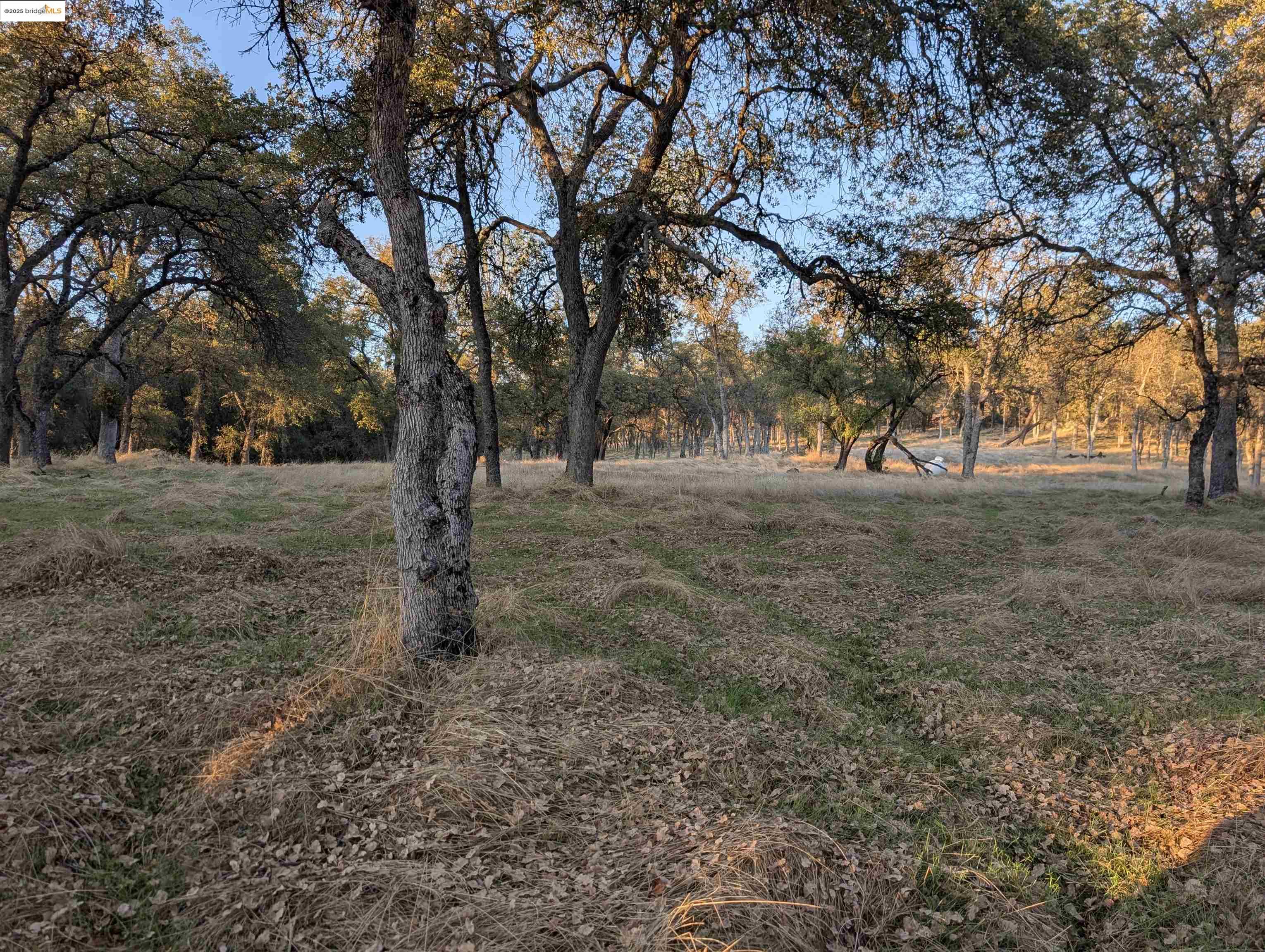 Detail Gallery Image 26 of 26 For 18340 Henry D Ct, Sonora,  CA 95370 - – Beds | – Baths