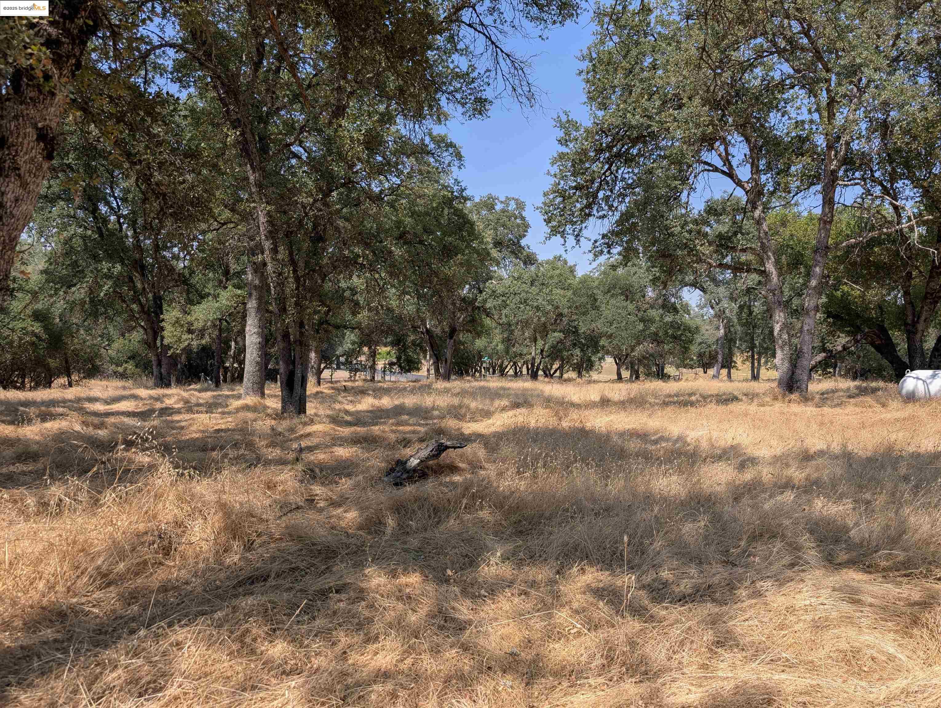 Detail Gallery Image 4 of 14 For 18340 Henry D Ct, Sonora,  CA 95370 - – Beds | – Baths