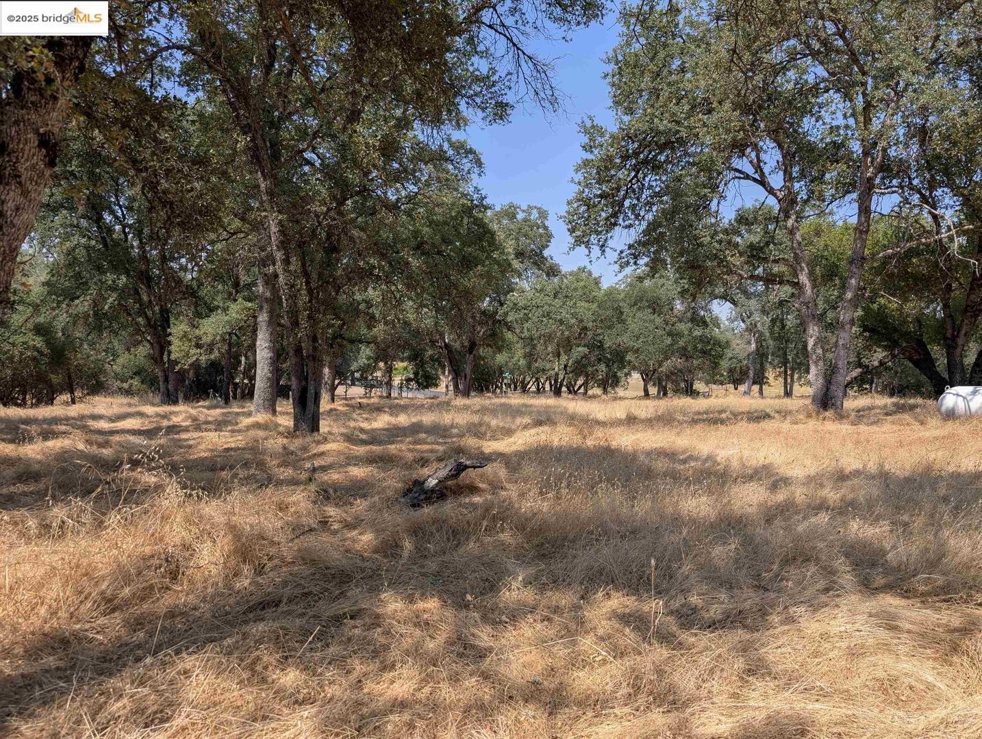 Detail Gallery Image 4 of 26 For 18340 Henry D Ct, Sonora,  CA 95370 - – Beds | – Baths