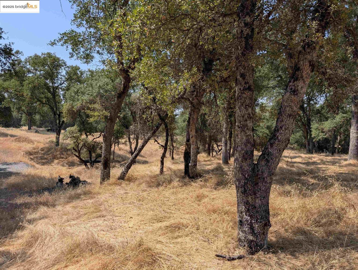 Detail Gallery Image 5 of 26 For 18340 Henry D Ct, Sonora,  CA 95370 - – Beds | – Baths