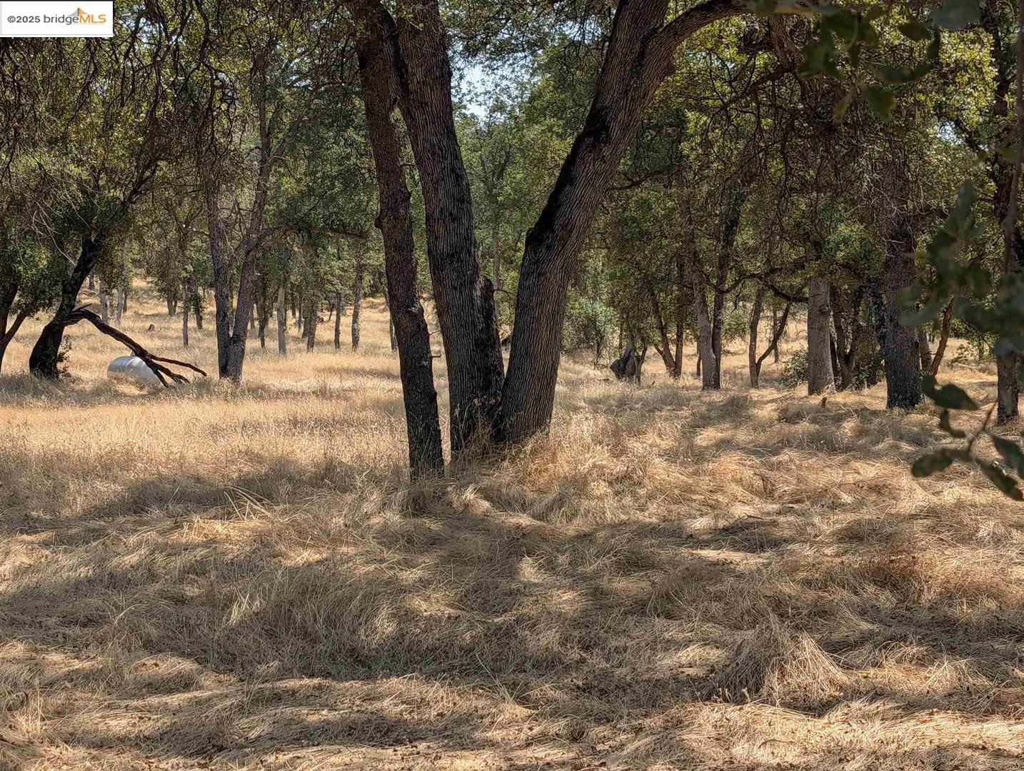 Detail Gallery Image 6 of 26 For 18340 Henry D Ct, Sonora,  CA 95370 - – Beds | – Baths