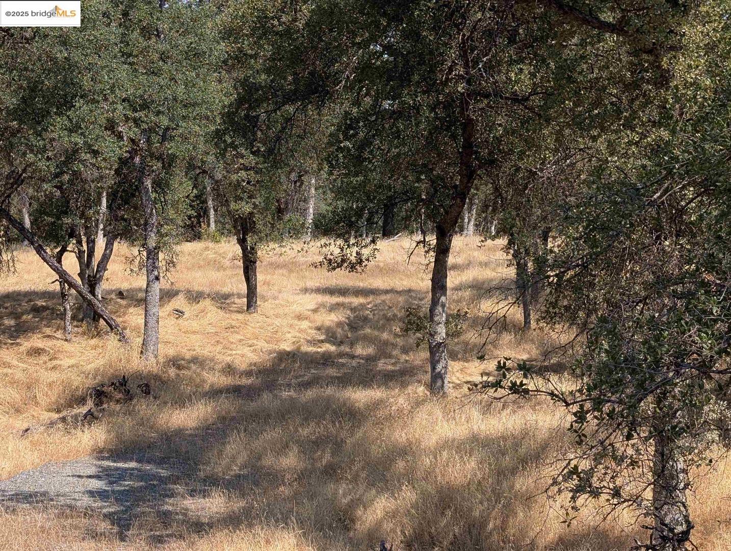 Detail Gallery Image 7 of 26 For 18340 Henry D Ct, Sonora,  CA 95370 - – Beds | – Baths