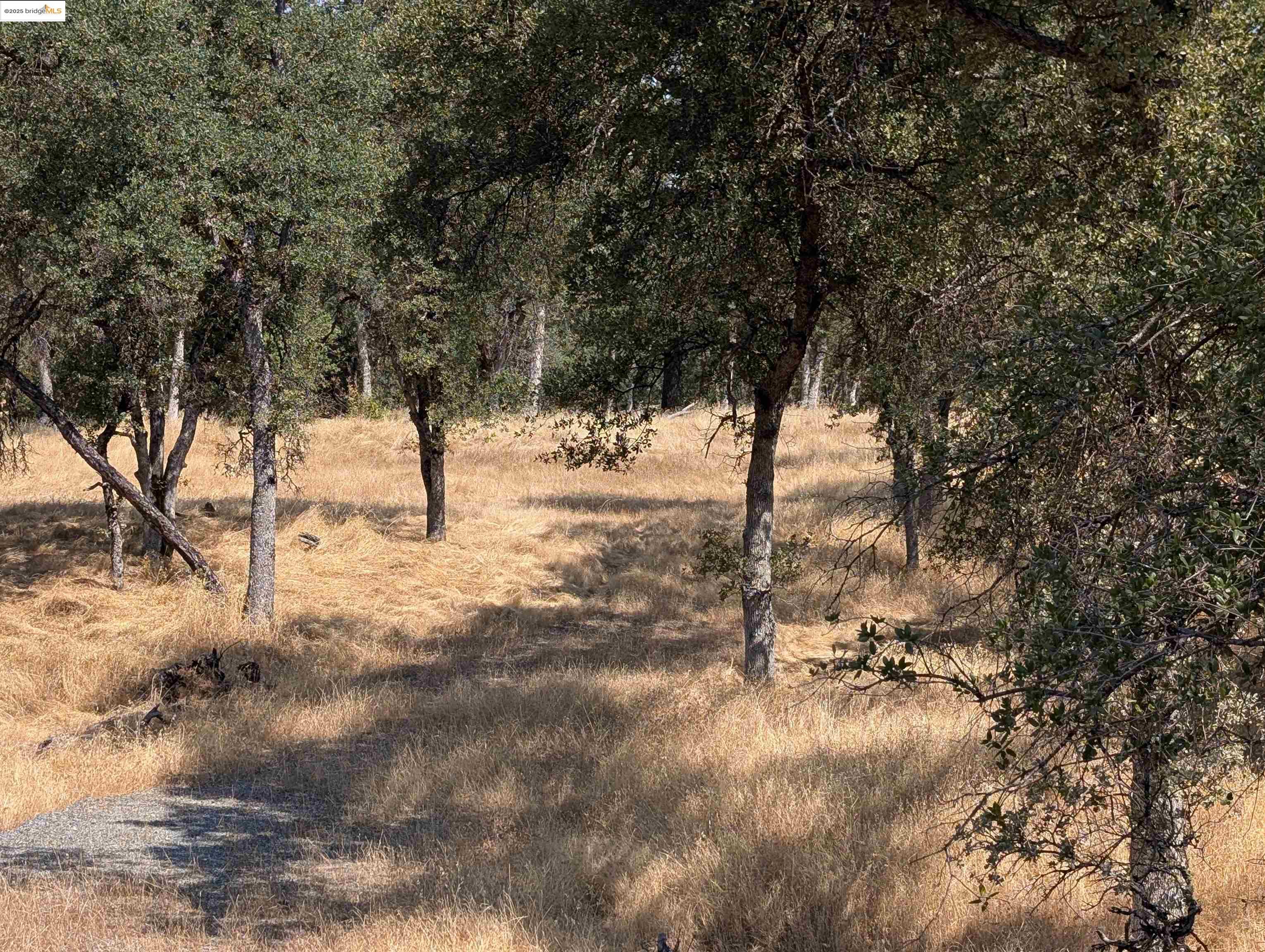 Detail Gallery Image 7 of 14 For 18340 Henry D Ct, Sonora,  CA 95370 - – Beds | – Baths