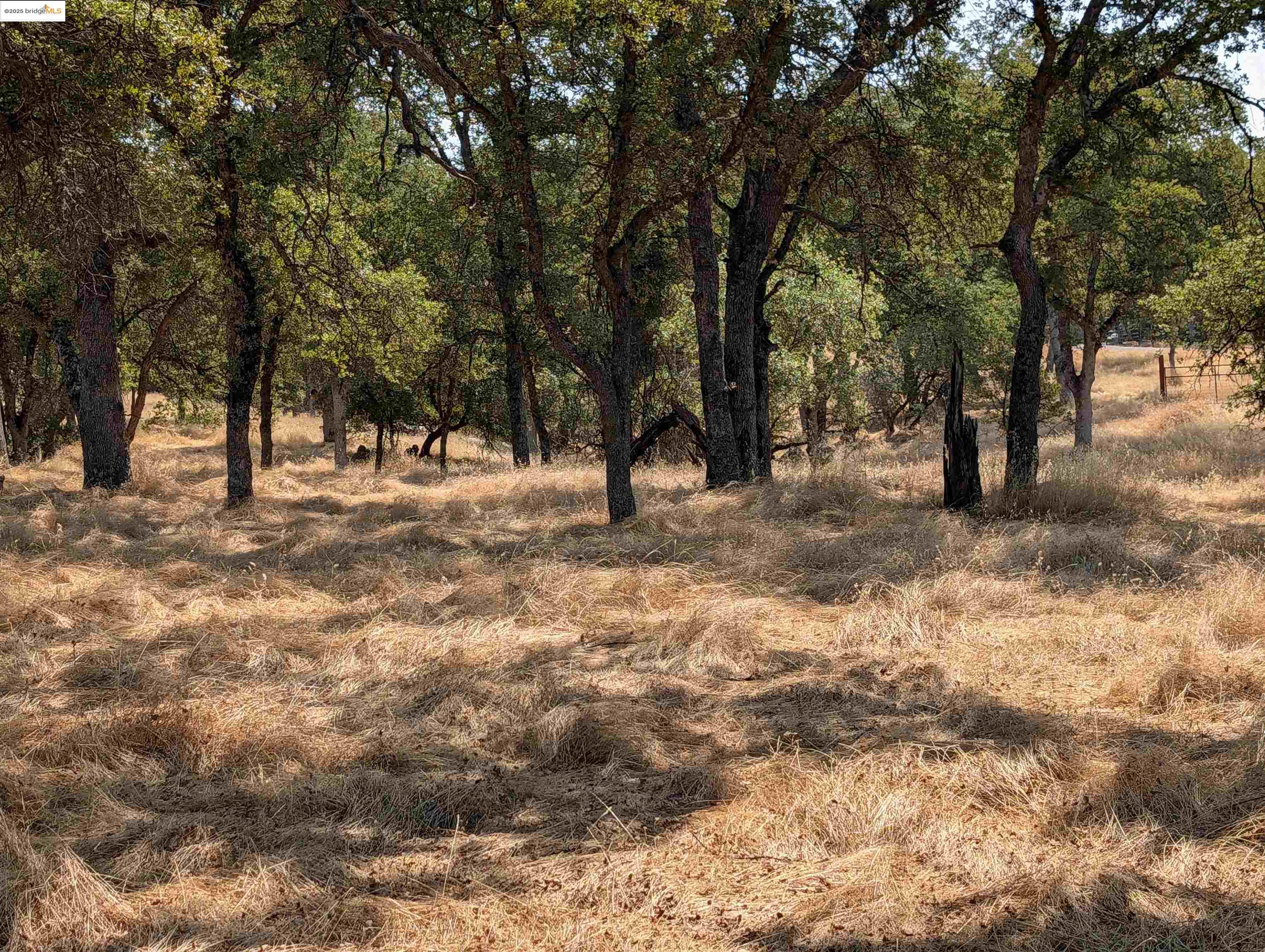 Detail Gallery Image 8 of 14 For 18340 Henry D Ct, Sonora,  CA 95370 - – Beds | – Baths